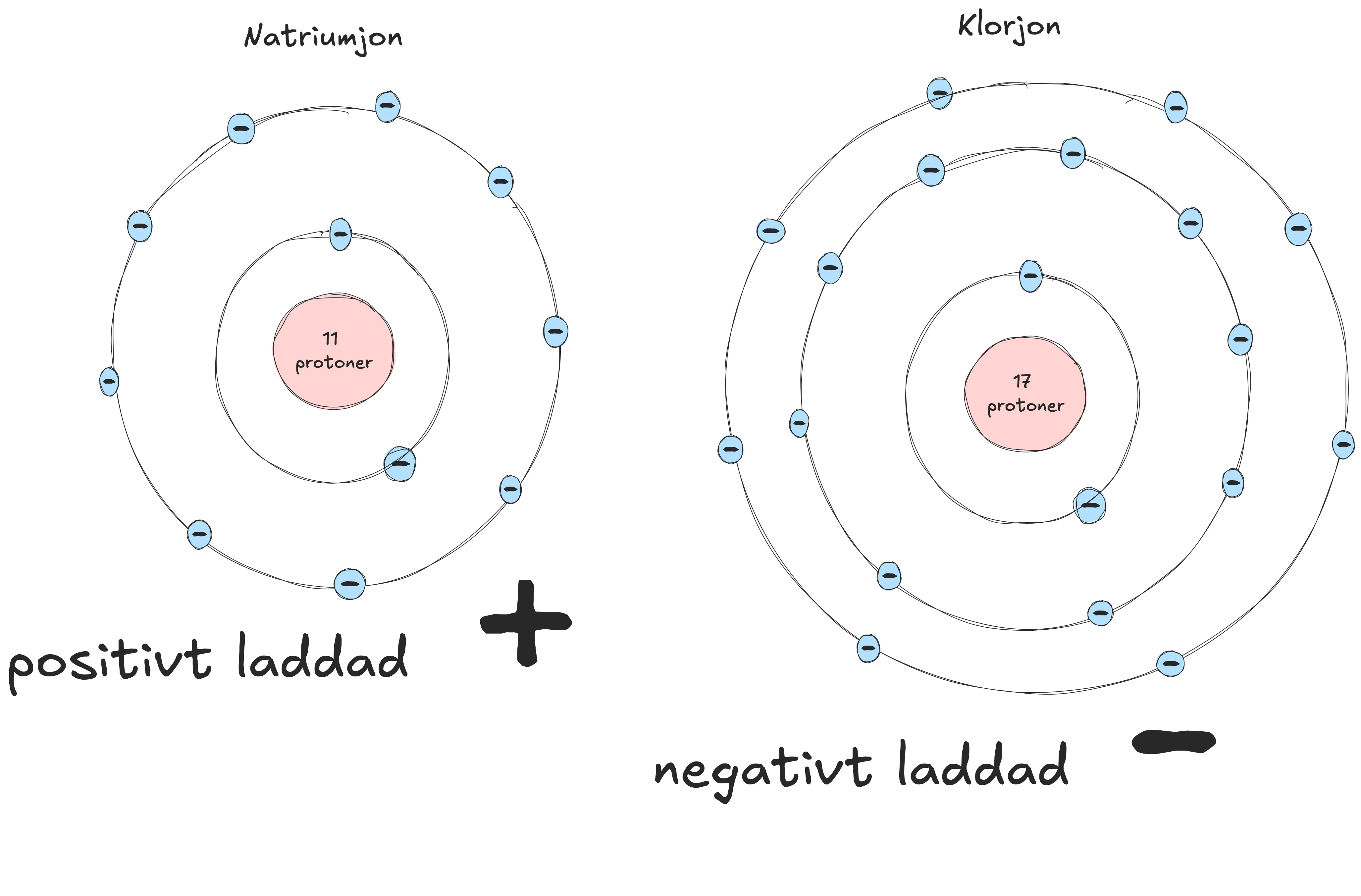 Närmare bestämt en natriumjon och en klorjon.