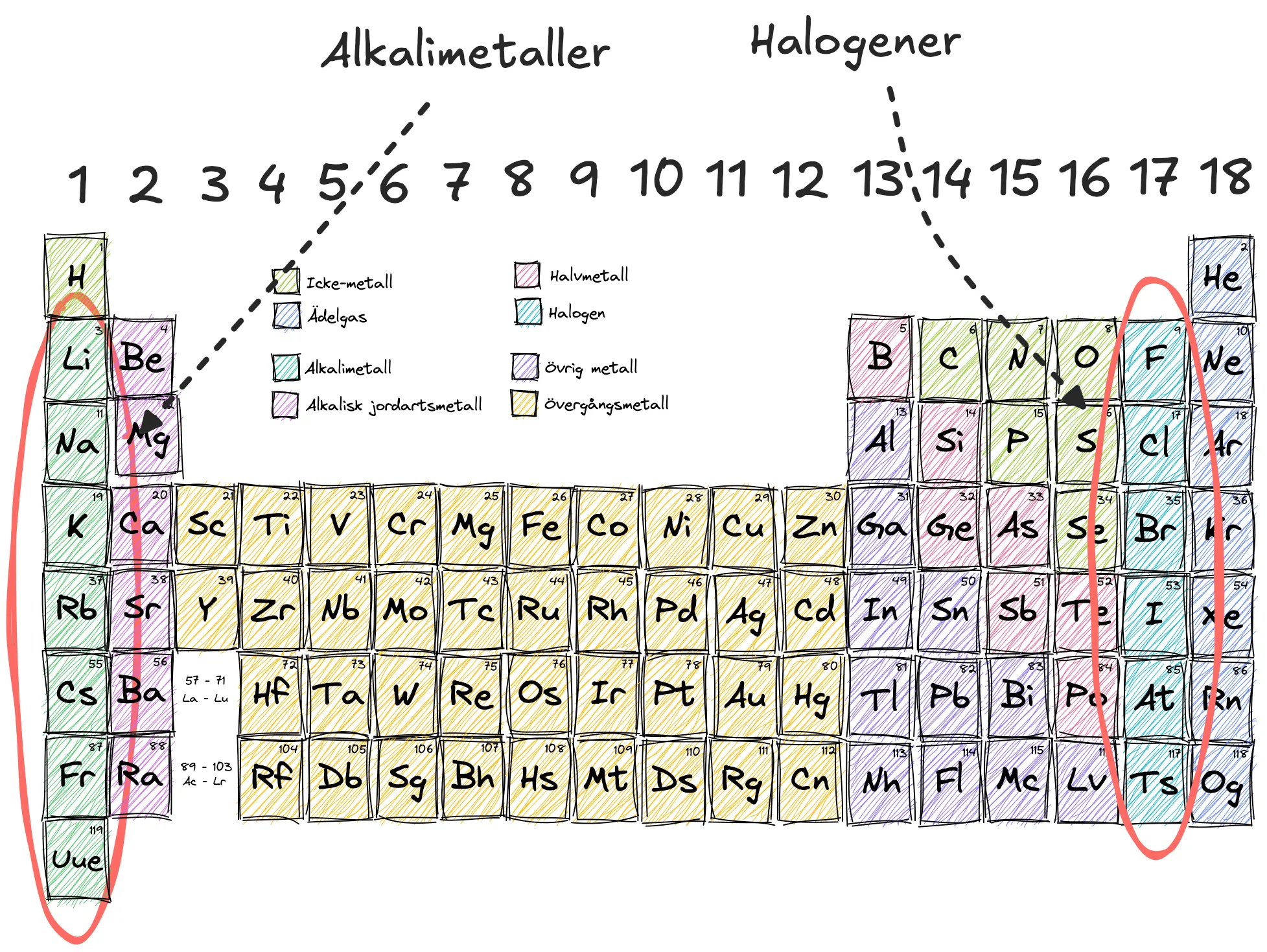 Alkalimetaller och halogener
